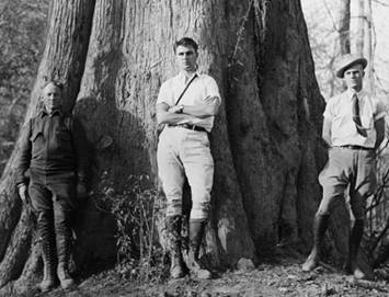 D. Demaree, N. Boke, B. Boke
Oklahoma's big bald cypress, 1936