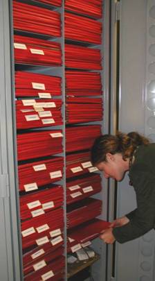 Type Specimen cabinet