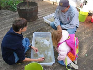 crayfish touch tank