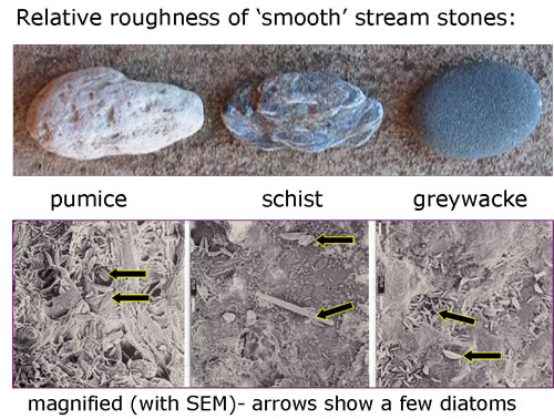 photos of magnified rocks showing roughness and diatoms