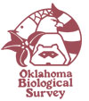 OBS Logo