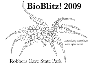 BioBlitz! 2009 logo