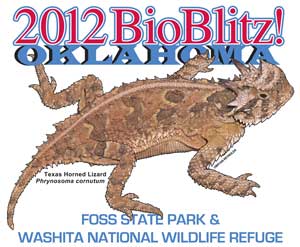 BioBlitz! Horned Lizard Logo