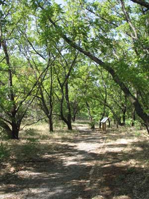 Trail at Washita NWR