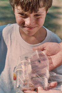 Boy looking at invertebrates