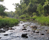 Oklahoma Stream