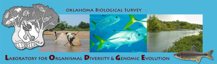 Labortory for Organismal Diversity & Genomic Evolution