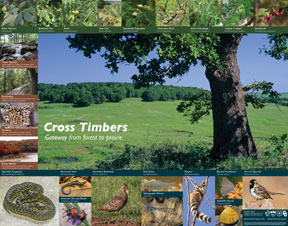 Cross Timbers Poster
