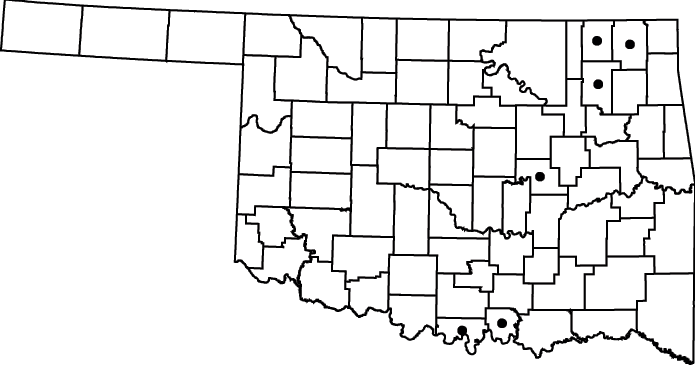 Sambucus canadensis map