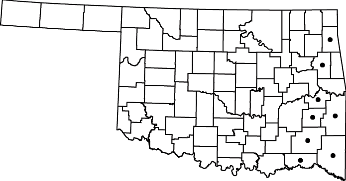 Alnus serrulata map