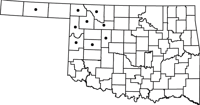 Berula erecta map