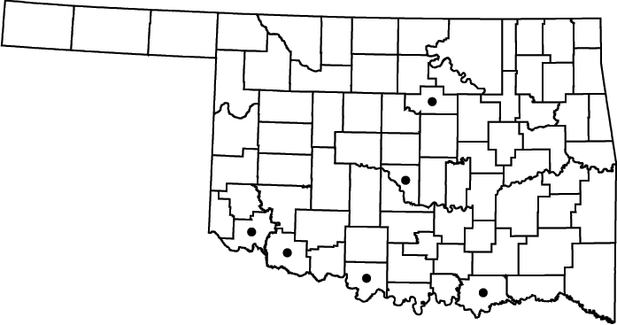 Chloracantha spinosa map