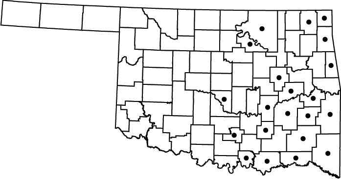 Diodia virginiana map