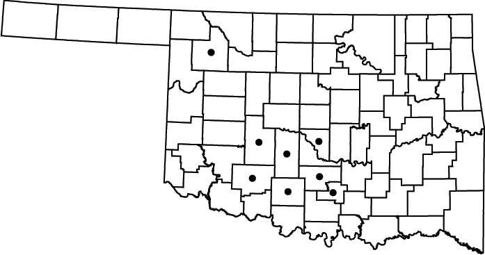 Lipocarpha aristulata map