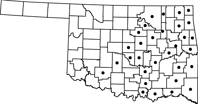 Ludwigia alternifolia map