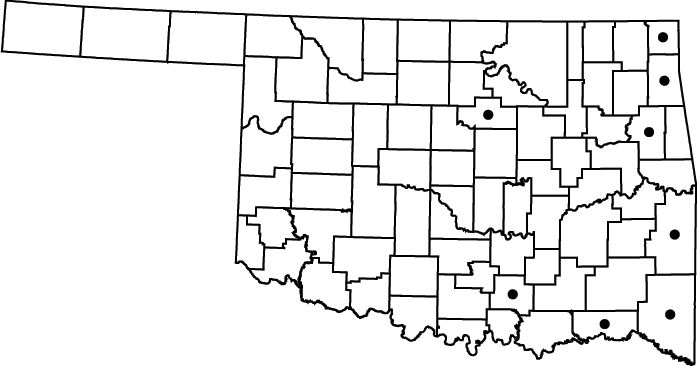 Lycopus rubellus map