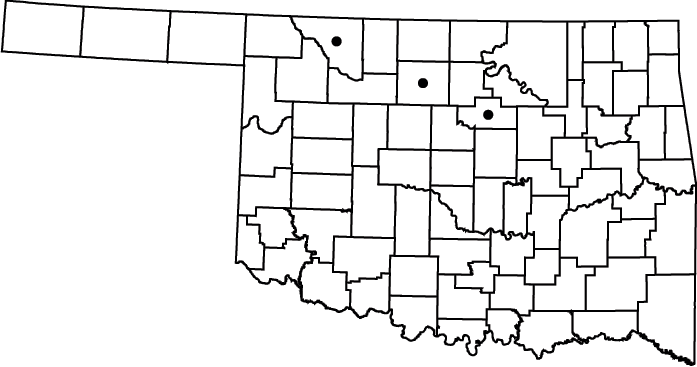 Marsilea mucronata map