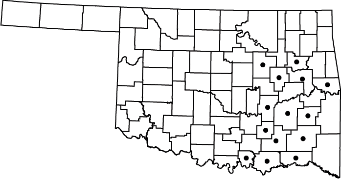 Rhynchospora macrostachya map