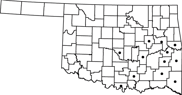 Sagittaria graminea map