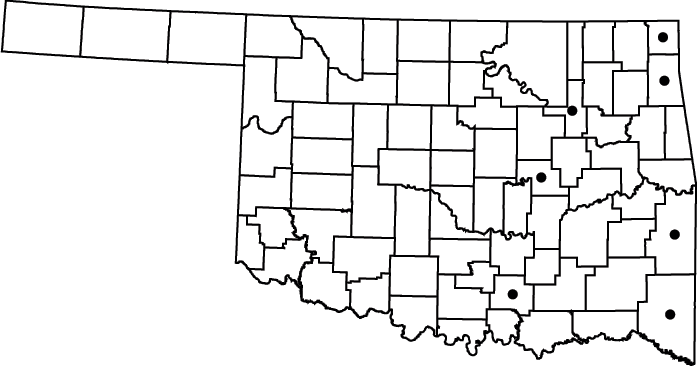 Sparganium androcladum map