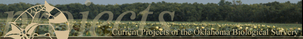 Project Banner